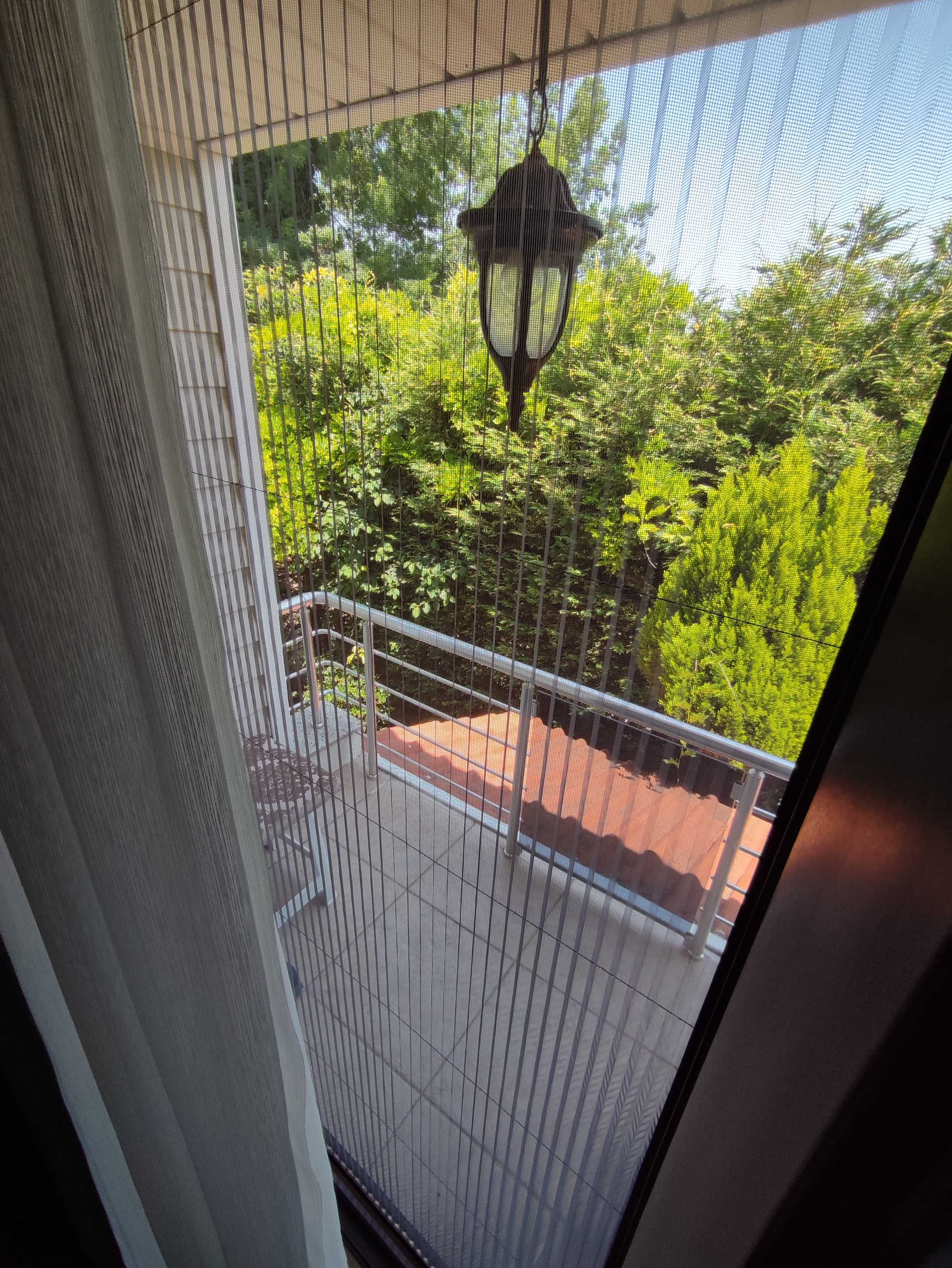 Mürsela | Sakarya Havuzlu Villa Tatil Evi  işletmesinin Bahçe ve Dış Alanlar resmi