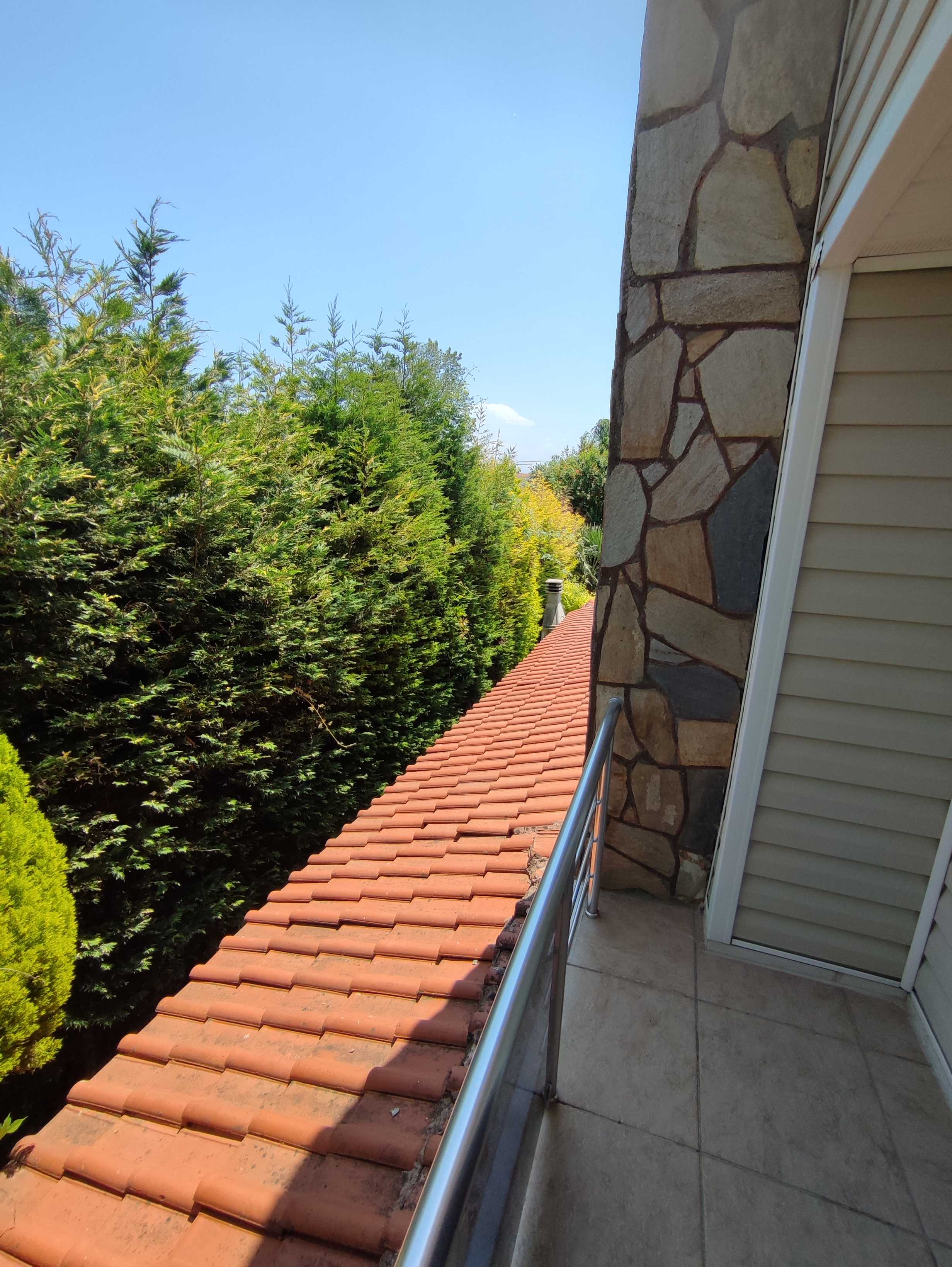 Mürsela | Sakarya Havuzlu Villa Tatil Evi  işletmesinin Bahçe ve Dış Alanlar resmi