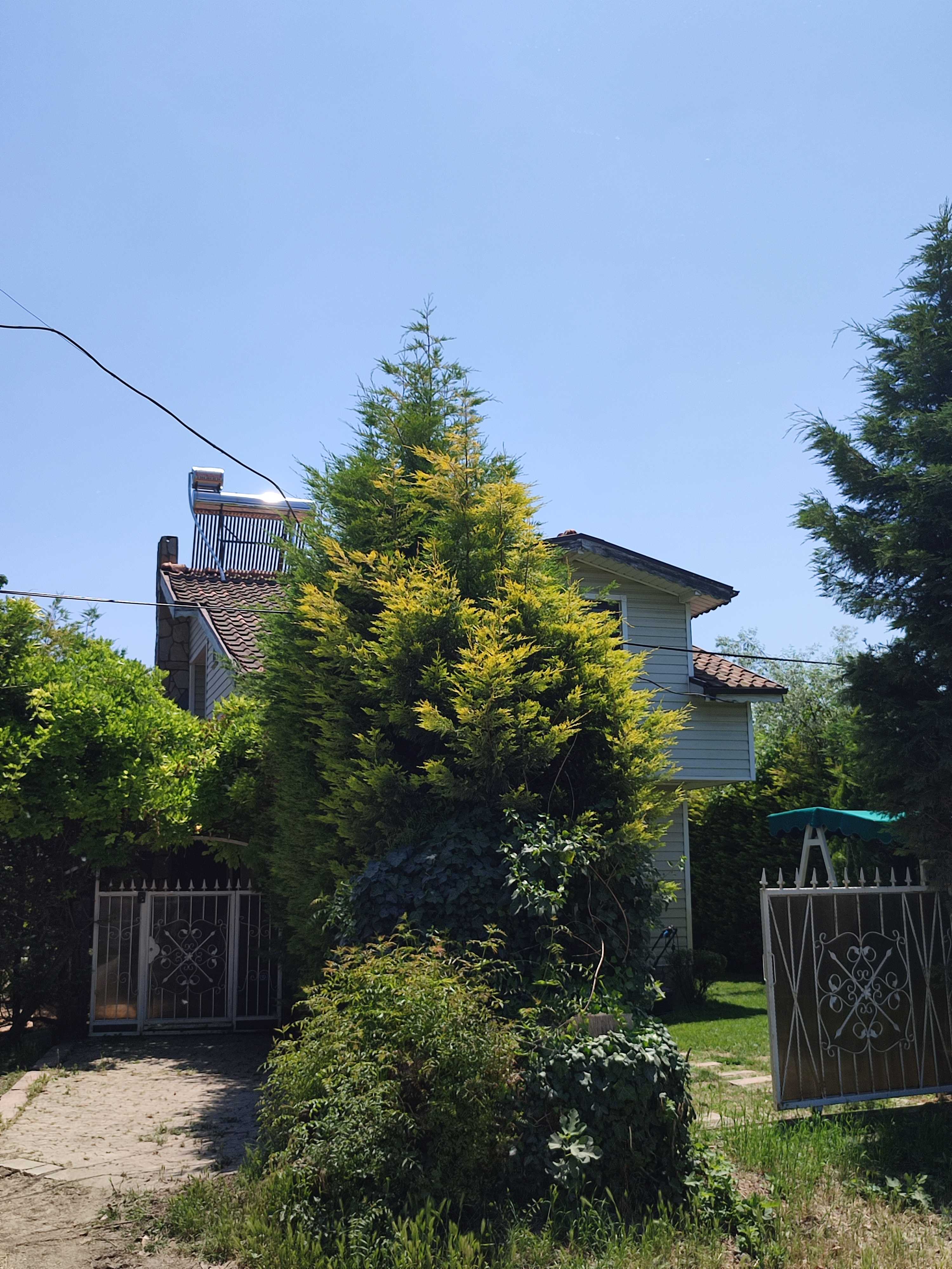 Mürsela | Sakarya Havuzlu Villa Tatil Evi  işletmesinin Bahçe ve Dış Alanlar resmi